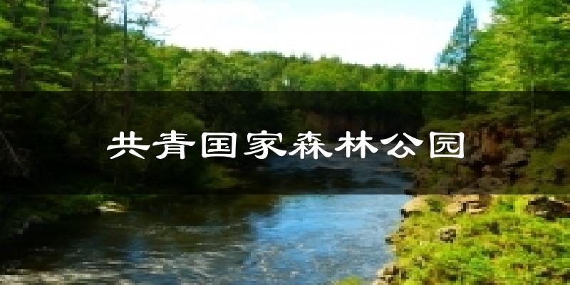 共青国家森林公园天气预报十五天